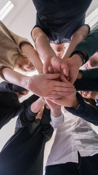 Equipo Peace Quiet Import — importación y distribución mayorista